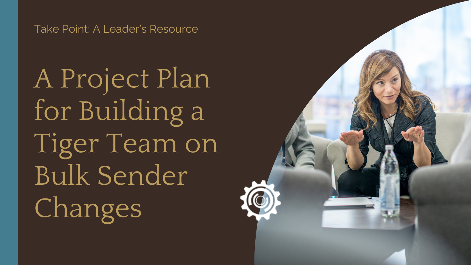 Image of marketing leader with text: A Project Plan for Building a Tiger Team on Bulk Sender Changes